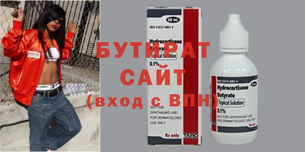 индика Инсар