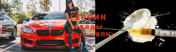 индика Инсар