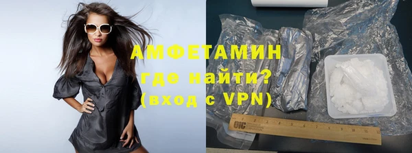 индика Инсар