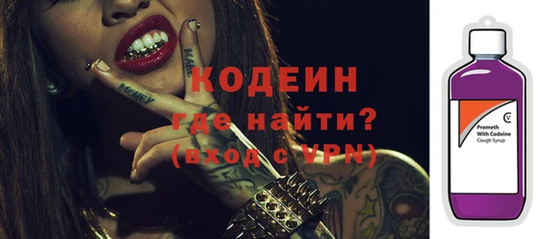 индика Инсар