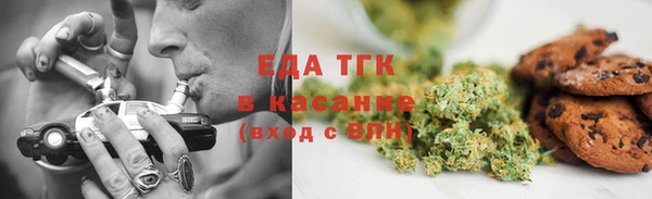 индика Инсар