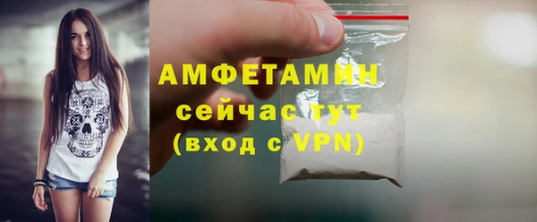 индика Инсар
