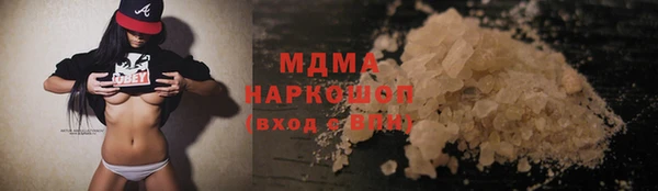 индика Инсар