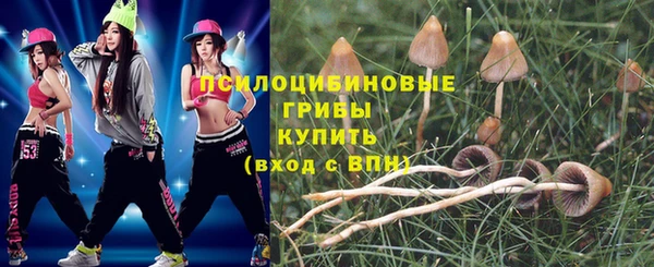 индика Инсар