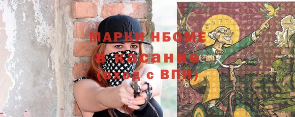индика Инсар