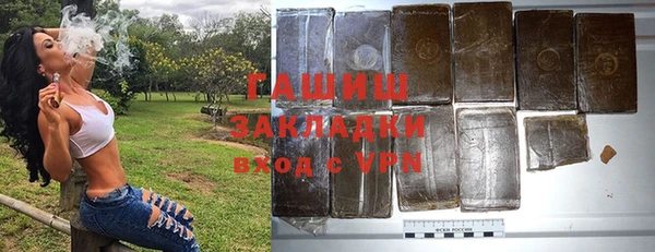 индика Инсар