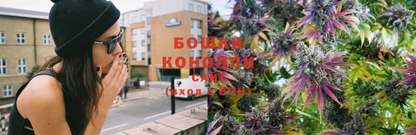 каннабис Инта