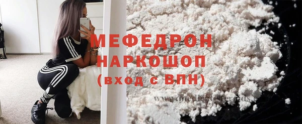 индика Инсар