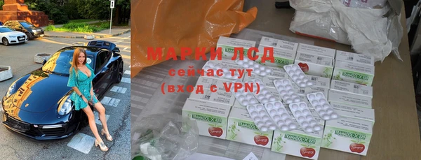 индика Инсар