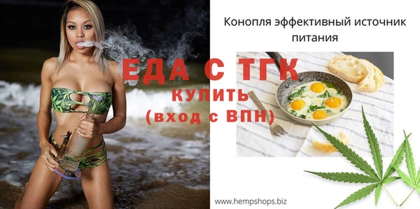 индика Инсар