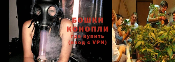 каннабис Инта