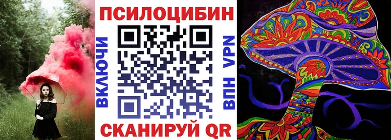 Купить  Дедовск  Галлюциногенные грибы Cubensis 
